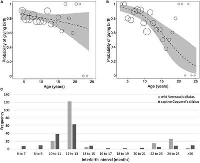 Reproductive Senescence in Two Lemur Lineages